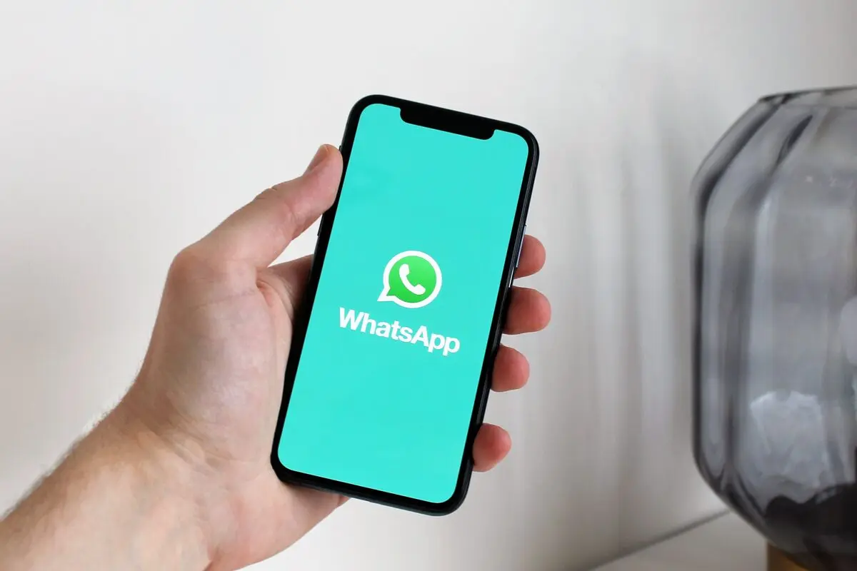 Bulk WhatsApp Services